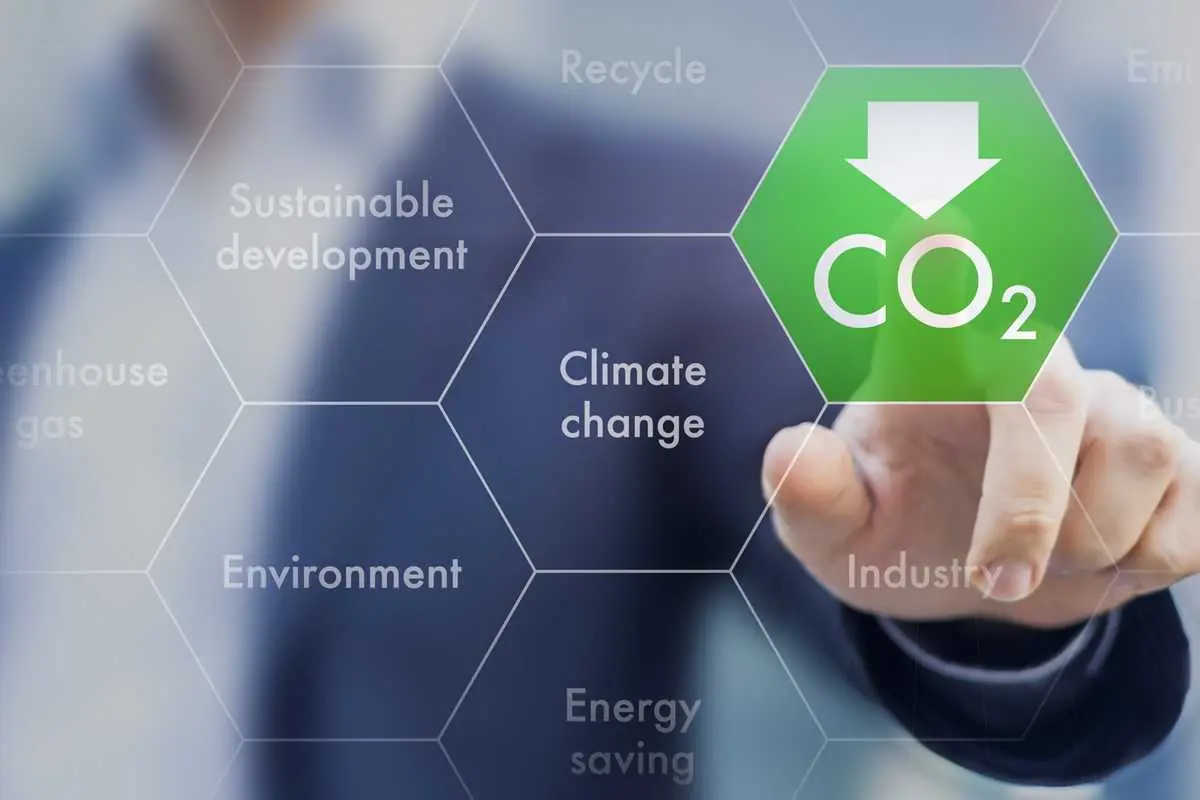 Sustainability consultant evaluating emissions reduction and decarbonization strategies
