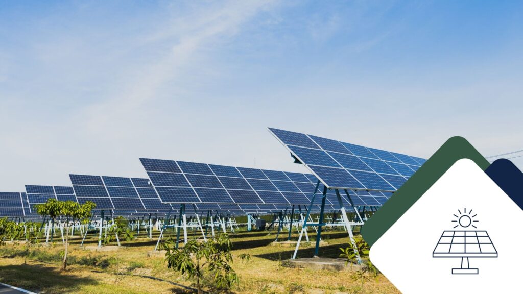 Why Agribusinesses Need Solar & Energy Storage