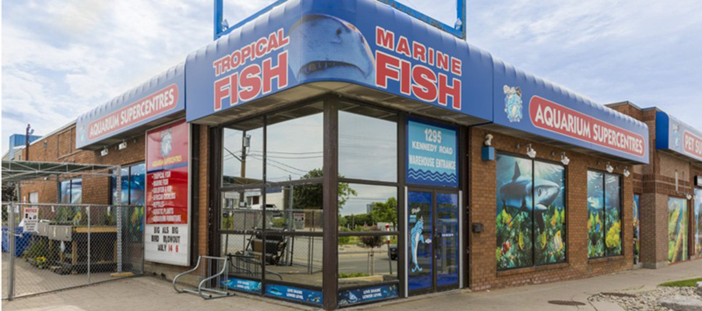 Big Al's Canada — Commercial LED Lighting Retrofit in Scarborough, Ontario